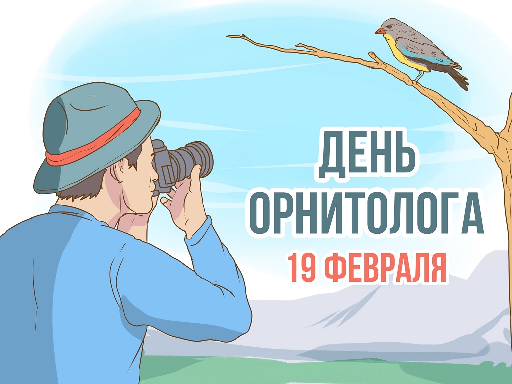 Красивые картинки, поздравления с Днем орнитолога в России 19 февраля 2024 года