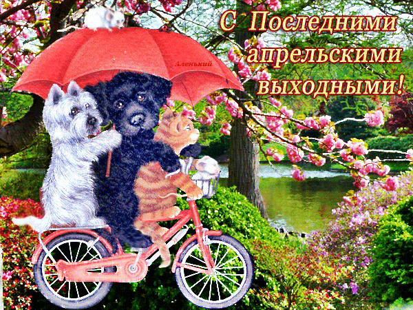 Картинки с Последним днем апреля (40 открыток). Последний апрельский день: гифки и мерцающие открытки