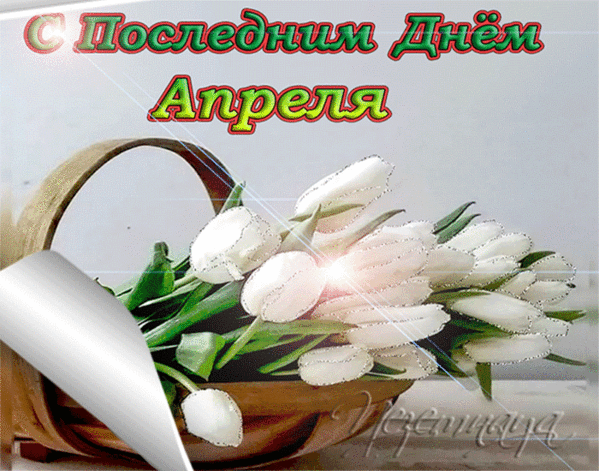 Картинки с Последним днем апреля (40 открыток). Последний апрельский день: гифки и мерцающие открытки