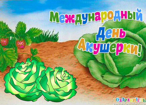 Картинки с Международным днем акушерки (65 открыток). Международный день акушерки: гифки и мерцающие открытки