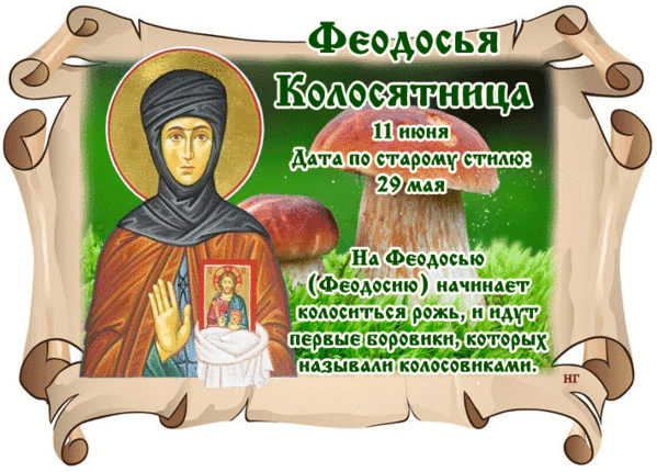 Картинки Феодосья Колосятница (17 открыток). Гифки на Феодосью Колосятницу