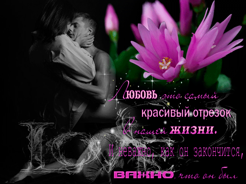 Картинки с Днем неукротимой страсти (14 открыток). Гифки с Днём неукротимой страсти