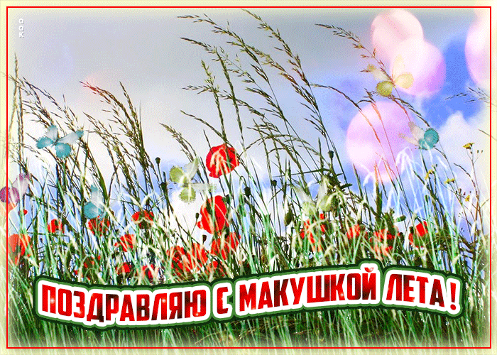 Картинки с первым днем июля (95 открыток). Гифки и мерцающие открытки с началом июля - макушкой лета