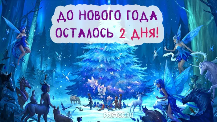 Красивые картинки до Нового года осталось 2 дня. Красивые и прикольные картинки до Нового года осталось 2 дня