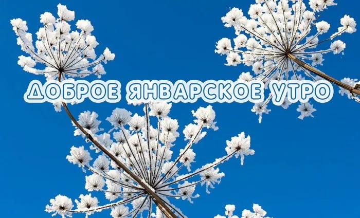 Красивые картинки "Доброе январское утро". Красивые картинки с Добрым январским утром