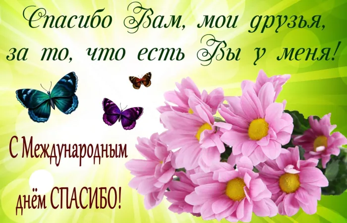 Картинки и открытки на Международный день «спасибо». Международный день спасибо - открытки с надписями и поздравлениями