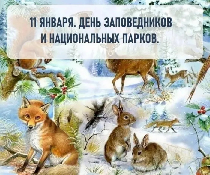 Картинки и открытки c Днем заповедников и национальных парков. Красивые открытки с Днем заповедников и национальных парков