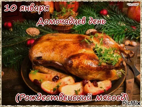 Красивые картинки и открытки на Рождественский мясоед (Домочадцев день). Красивые картинки на Домочадцев день или Рождественский мясоед