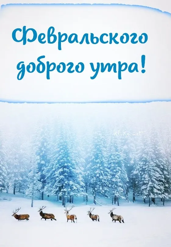 Красивые картинки "Доброе утро февраля". Красивые картинки с Добрым утром февраля