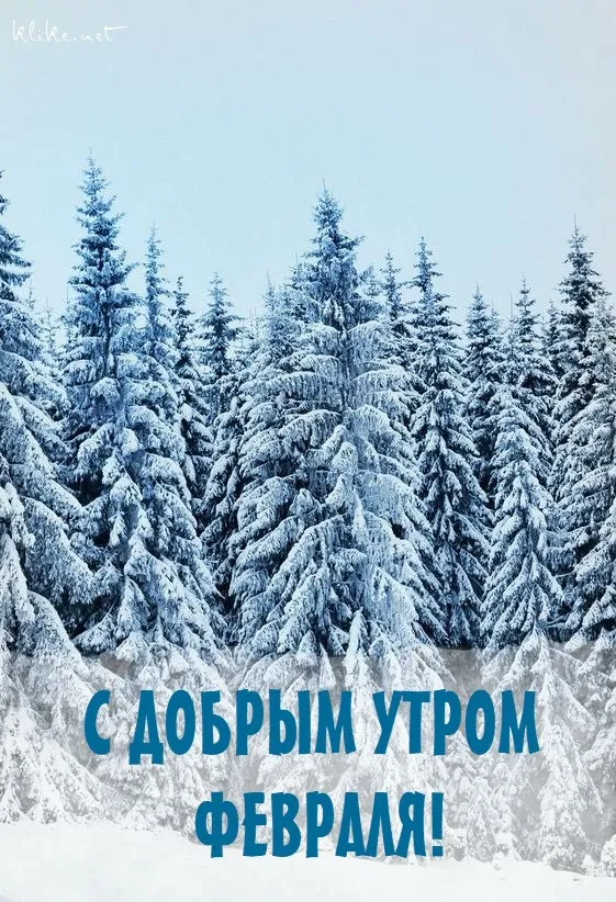 Красивые картинки "Доброе утро февраля". Красивые картинки с Добрым утром февраля