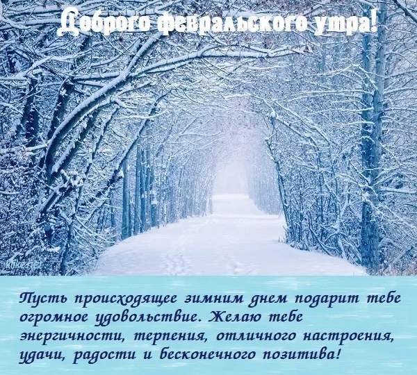 Красивые картинки "Доброе утро февраля". Красивые картинки с Добрым утром февраля