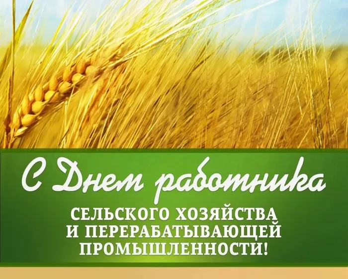 Картинки с Днем работника сельского хозяйства и перерабатывающей промышленности (165 открыток). День работников сельского хозяйства: картинки с надписями и поздравлениями