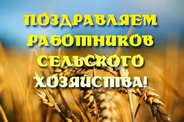 Картинки с Днем работника сельского хозяйства и перерабатывающей промышленности (165 открыток). Красивые открытки с Днем работника сельского хозяйства и перерабатывающей промышленности