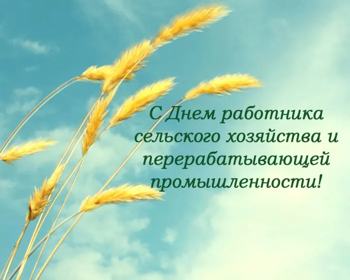 Картинки с Днем работника сельского хозяйства и перерабатывающей промышленности (165 открыток). Красивые открытки с Днем работника сельского хозяйства и перерабатывающей промышленности