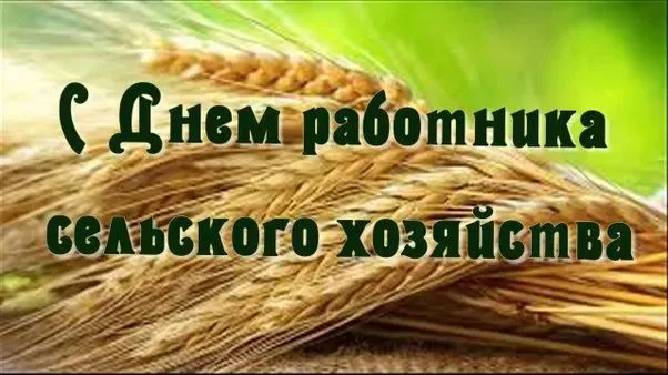 Картинки с Днем работника сельского хозяйства и перерабатывающей промышленности (165 открыток). Красивые открытки с Днем работника сельского хозяйства и перерабатывающей промышленности