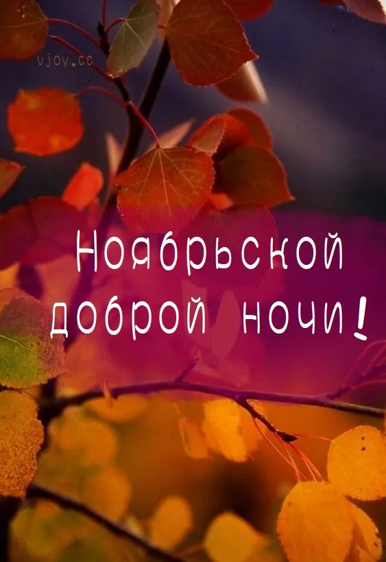 Красивые открытки "Спокойной ноябрьской ночи". Красивые картинки с пожеланием спокойной ноябрьской ночи