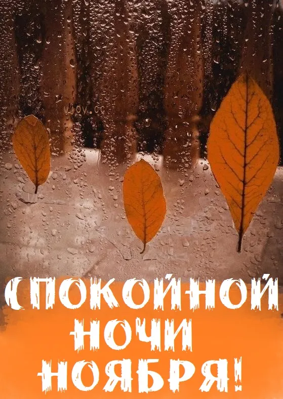 Красивые открытки "Спокойной ноябрьской ночи". Красивые картинки с пожеланием спокойной ноябрьской ночи