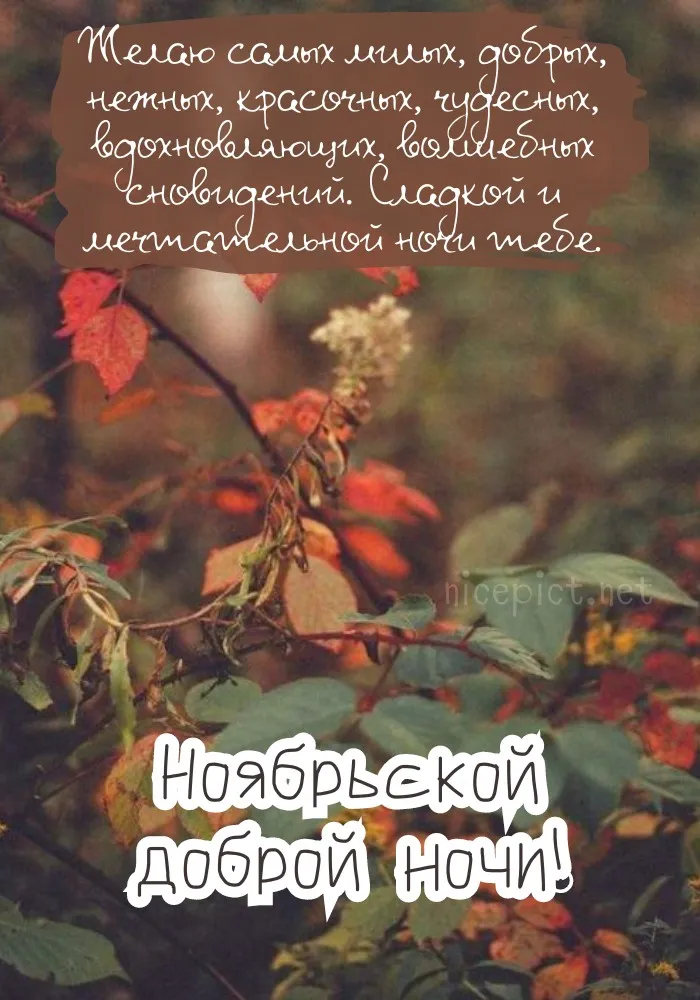 Красивые открытки "Спокойной ноябрьской ночи". Красивые картинки с пожеланием спокойной ноябрьской ночи