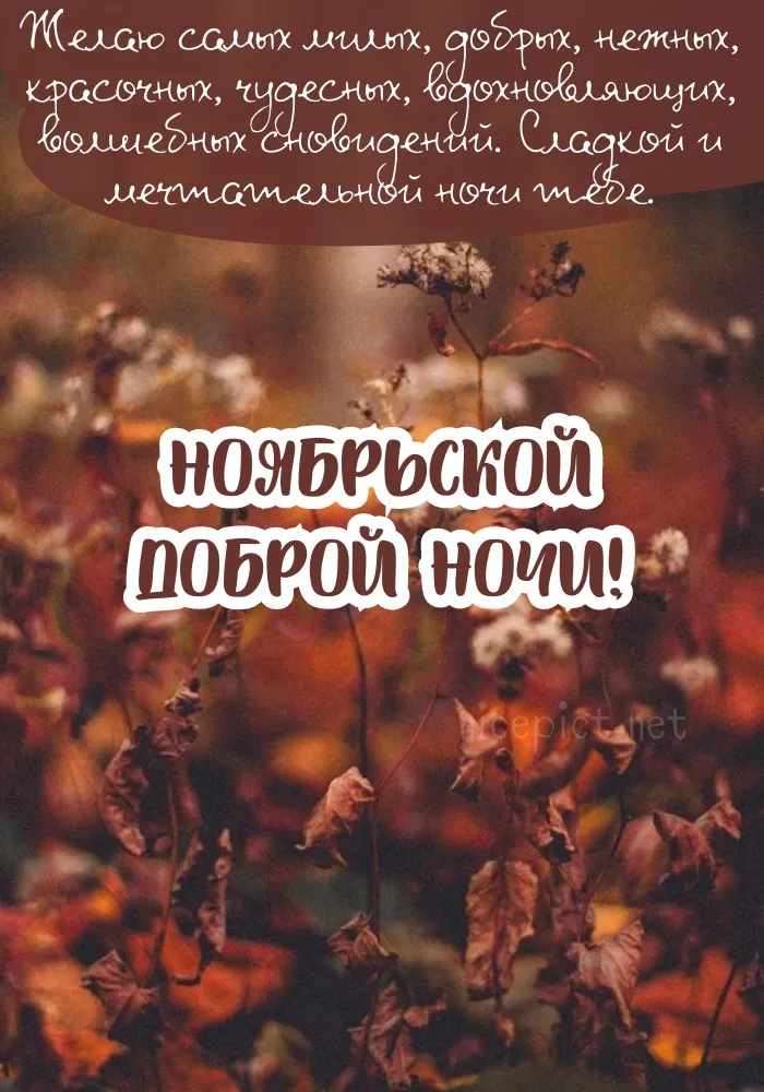 Красивые открытки "Спокойной ноябрьской ночи". Красивые картинки с пожеланием спокойной ноябрьской ночи