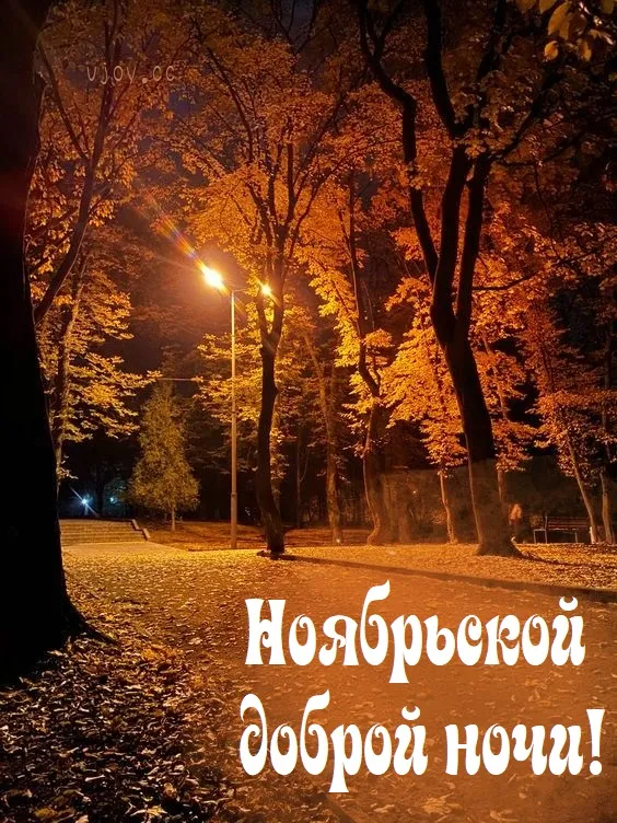 Красивые открытки "Спокойной ноябрьской ночи". Красивые картинки с пожеланием спокойной ноябрьской ночи