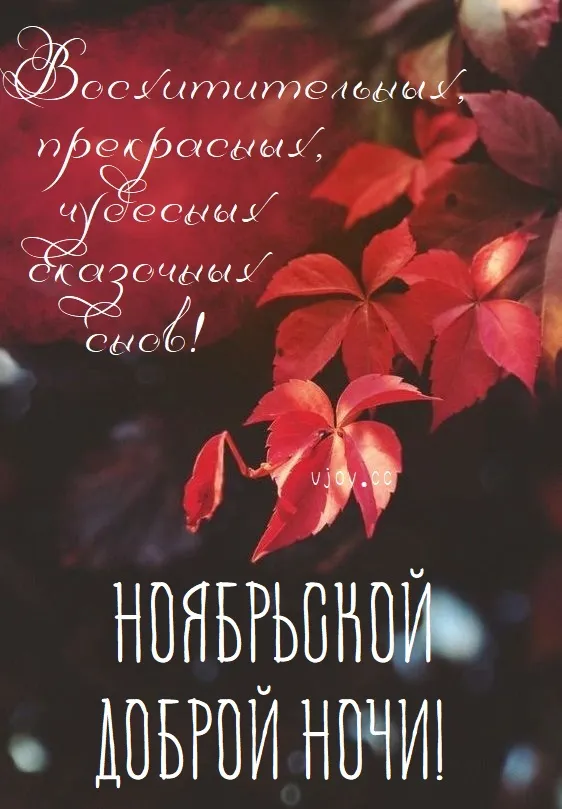 Красивые открытки "Спокойной ноябрьской ночи". Красивые картинки с пожеланием спокойной ноябрьской ночи