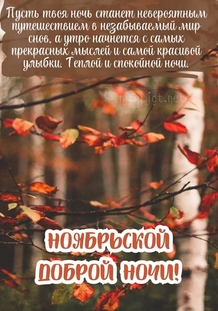 Красивые открытки "Спокойной ноябрьской ночи". Красивые картинки с пожеланием спокойной ноябрьской ночи