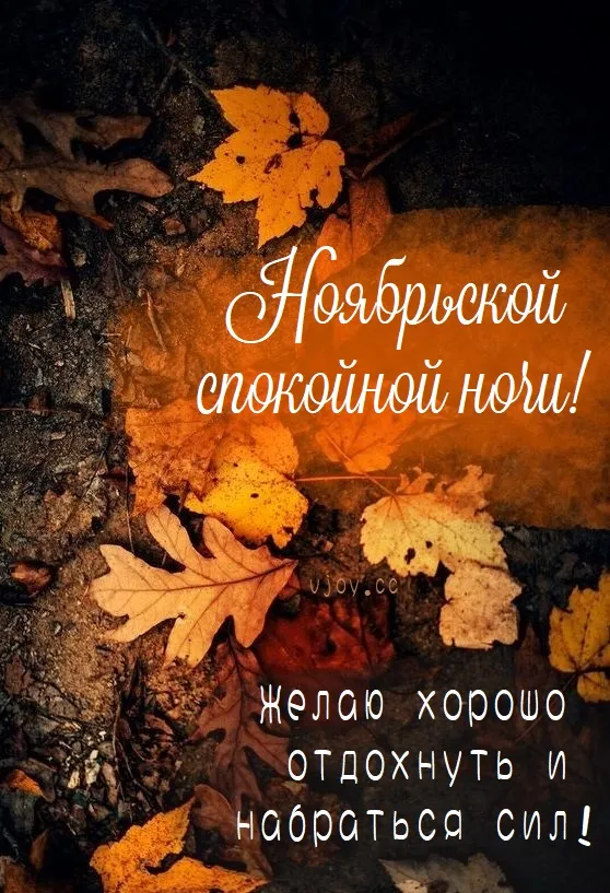 Красивые открытки "Спокойной ноябрьской ночи". Красивые картинки с пожеланием спокойной ноябрьской ночи