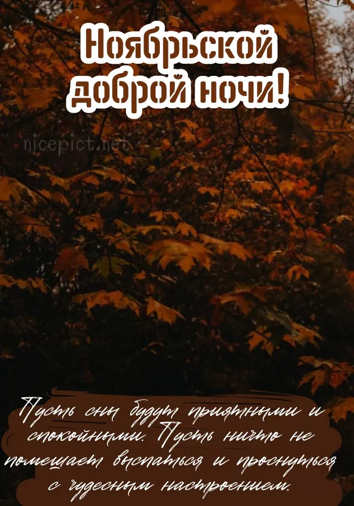 Красивые открытки "Спокойной ноябрьской ночи". Красивые картинки с пожеланием спокойной ноябрьской ночи