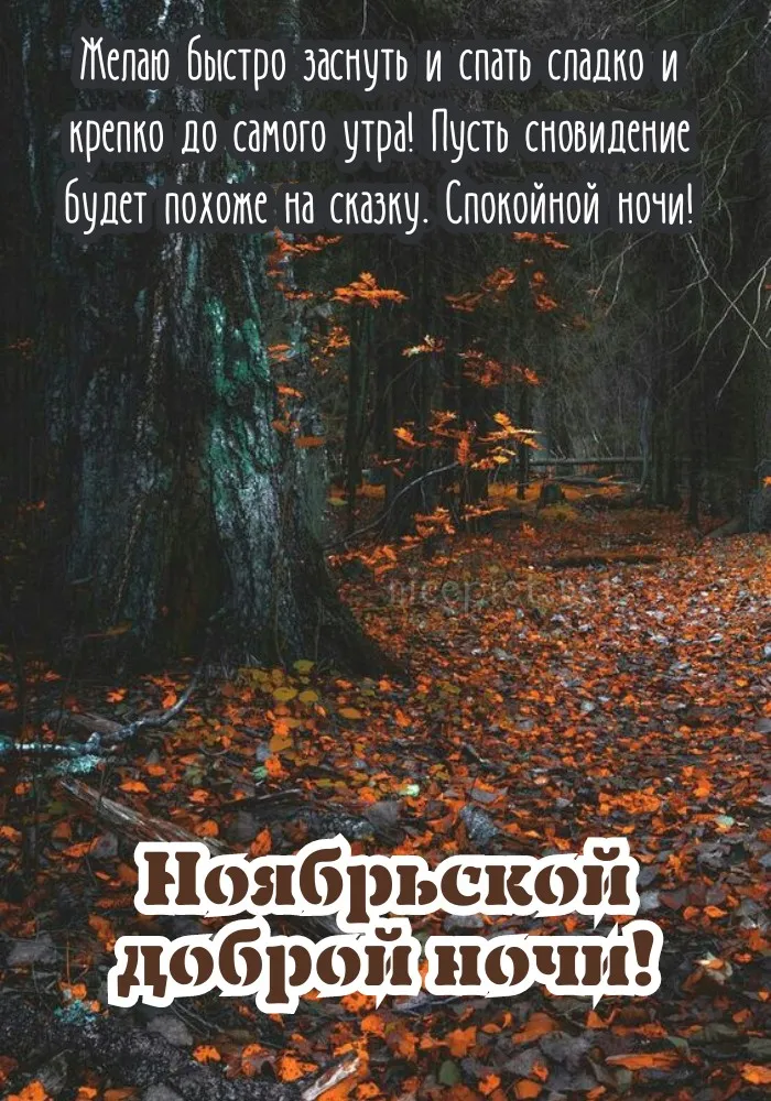 Красивые открытки "Спокойной ноябрьской ночи". Красивые картинки с пожеланием спокойной ноябрьской ночи