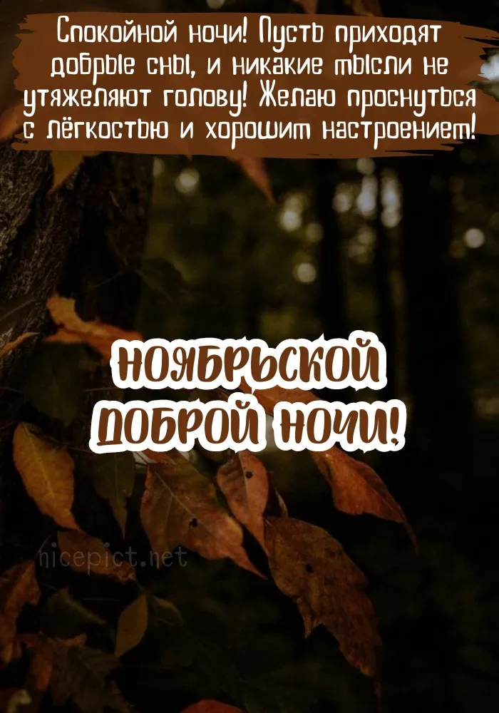 Красивые открытки "Спокойной ноябрьской ночи". Красивые картинки с пожеланием спокойной ноябрьской ночи