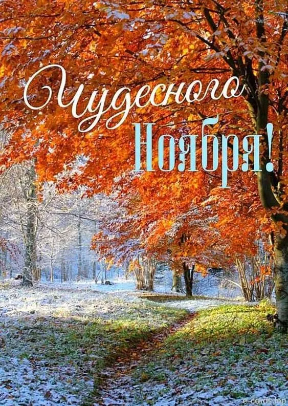 Красивые открытки "Доброе ноябрьское утро". Красивые картинки с Добрым утром ноября