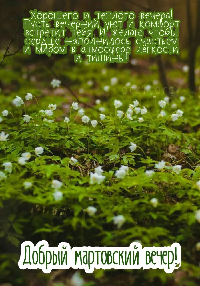 Картинки с Добрым вечером марта (110 открыток). Открытки с надписью "Добрый мартовский вечер"