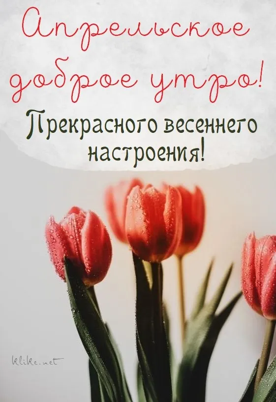 Картинки с Добрым утром апреля (155 открыток). Красивые картинки с надписью "Доброе утро апреля"