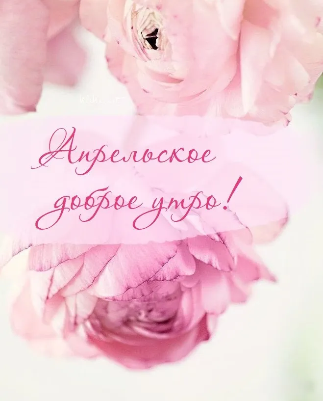 Картинки с Добрым утром апреля (155 открыток). Красивые картинки с надписью "Доброе утро апреля"