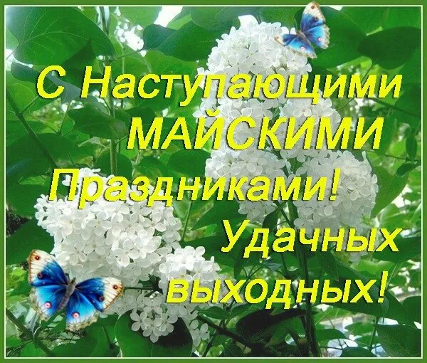 Картинки с наступающими майскими праздниками (20 открыток). Красивые и прикольные картинки с наступающими майскими праздниками