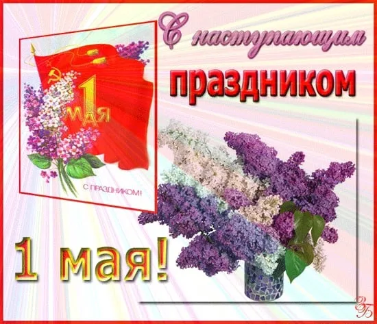 Картинки с наступающим 1 мая (25 открыток)