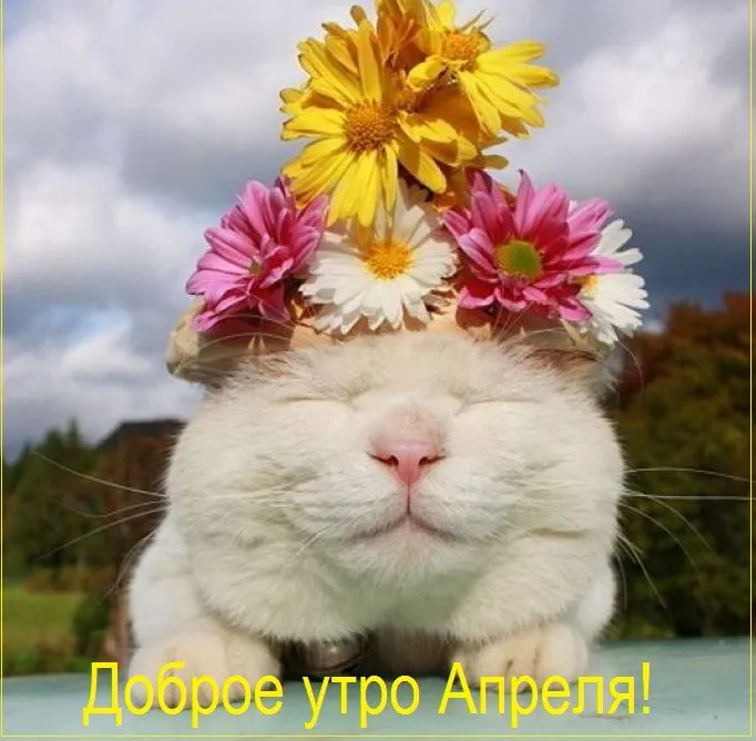 Картинки с Добрым утром апреля (155 открыток). Красивые картинки с надписью "Доброе утро апреля"