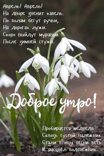 Картинки с Добрым утром апреля (155 открыток). Красивые картинки с надписью "Доброе утро апреля"