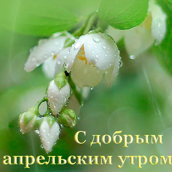 Картинки с Добрым утром апреля (155 открыток). Красивые картинки с надписью "Доброе утро апреля"