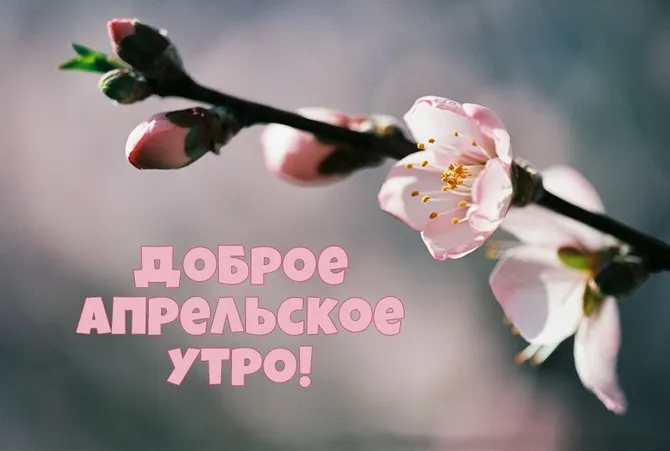Картинки с Добрым утром апреля (155 открыток)