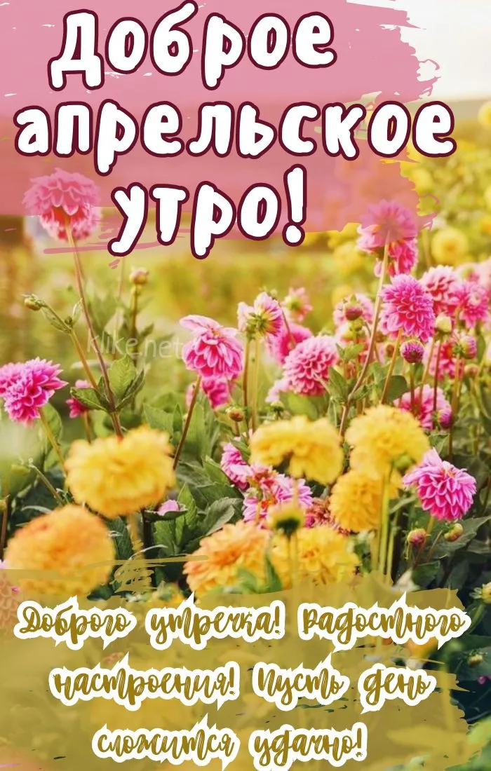 Картинки с Добрым утром апреля (155 открыток). Красивые картинки с надписью "Доброе утро апреля"