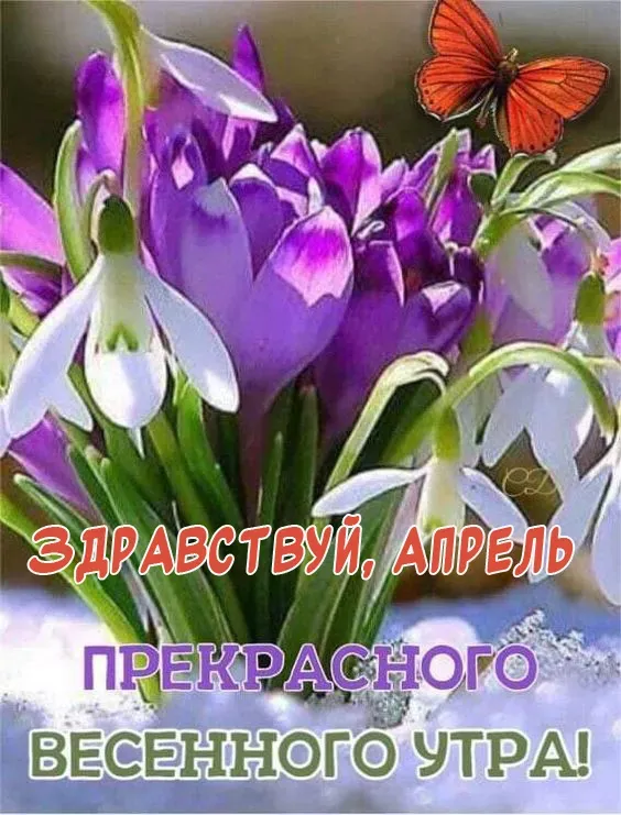 Картинки с Добрым утром апреля (155 открыток). Красивые картинки с надписью "Доброе утро апреля"