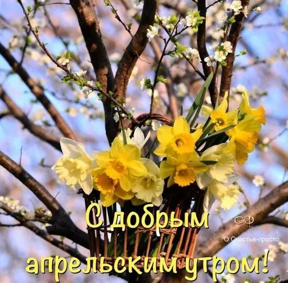 Картинки с Добрым утром апреля (155 открыток). Красивые картинки с надписью "Доброе утро апреля"