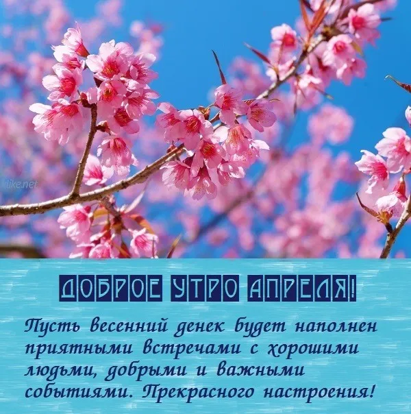 Картинки с Добрым утром апреля (155 открыток). Красивые картинки с надписью "Доброе утро апреля"