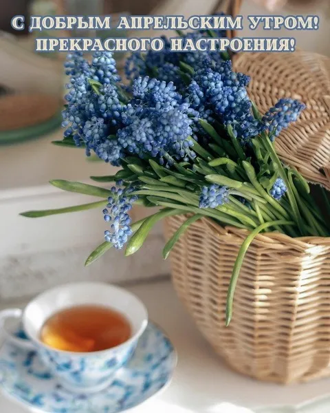 Картинки с Добрым утром апреля (155 открыток). Красивые картинки с надписью "Доброе утро апреля"