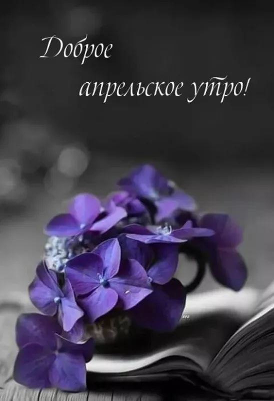 Картинки с Добрым утром апреля (155 открыток). Красивые картинки с надписью "Доброе утро апреля"