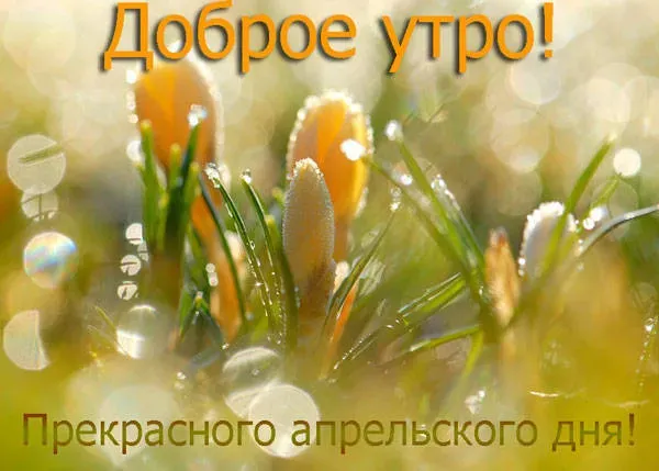 Картинки с Добрым утром апреля (155 открыток). Красивые картинки с надписью "Доброе утро апреля"