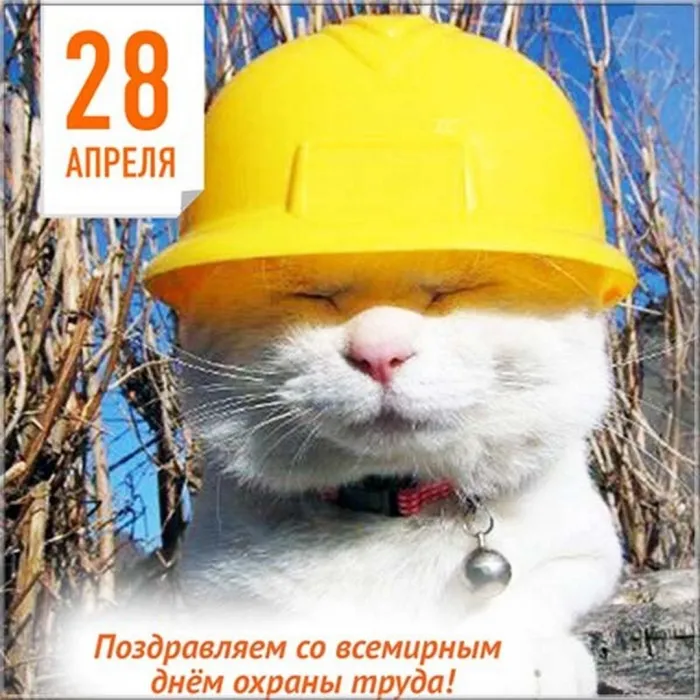Картинки со Всемирным днем охраны труда (60 открыток). Красивые картинки с Днем охраны труда