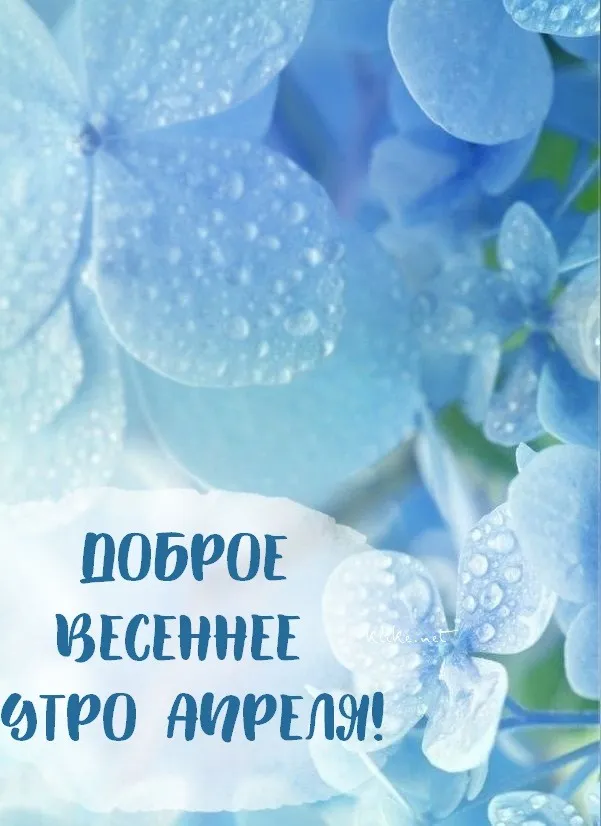 Картинки с Добрым утром апреля (155 открыток). Красивые картинки с надписью "Доброе утро апреля"