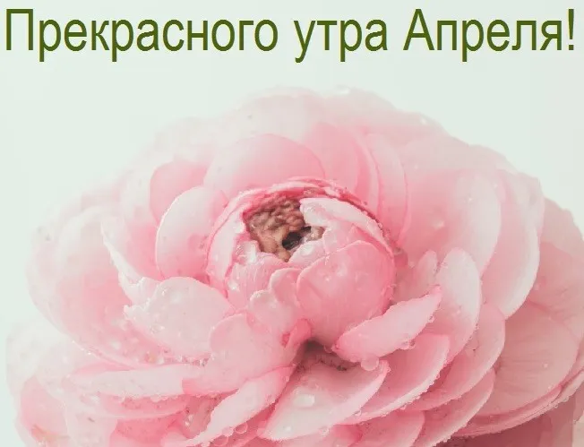 Картинки с Добрым утром апреля (155 открыток). Красивые картинки с надписью "Доброе утро апреля"